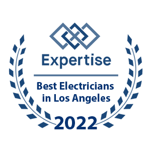 Expertise Best Electrician Award